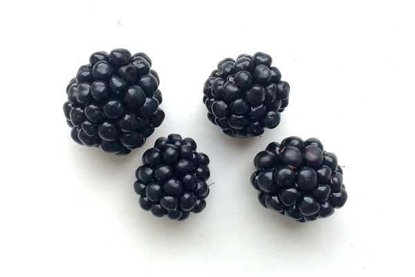 Brombeeren