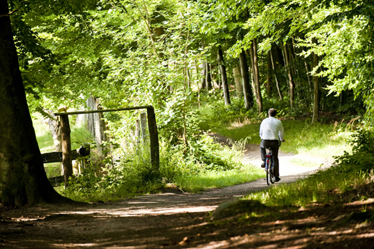 Radfahren: Radtour nahe des Hotel Birke in Kiel