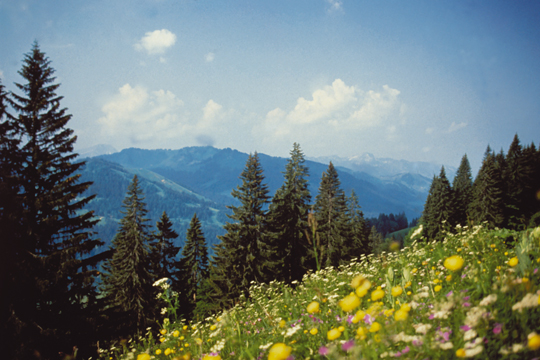 Ausblick vom HUBERTUS Alpin Lodge & Spa