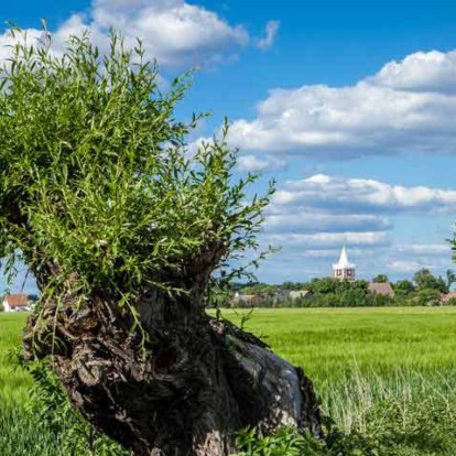Wellnesshotel Niederlausitz»