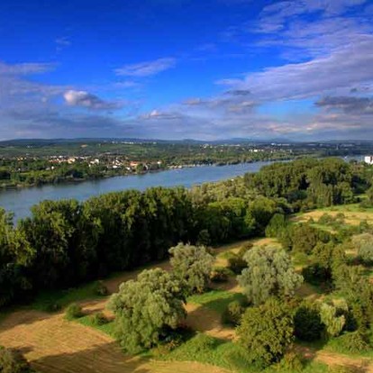Wellnesshotels Rhineland »