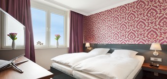 Suite Superior Plus