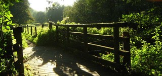 Natur pur