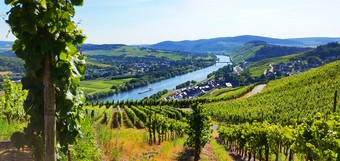 Verwöhn-Wellness-Zeiten-Basic