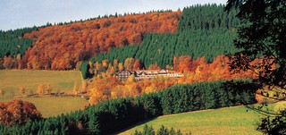 Trüffelmenü