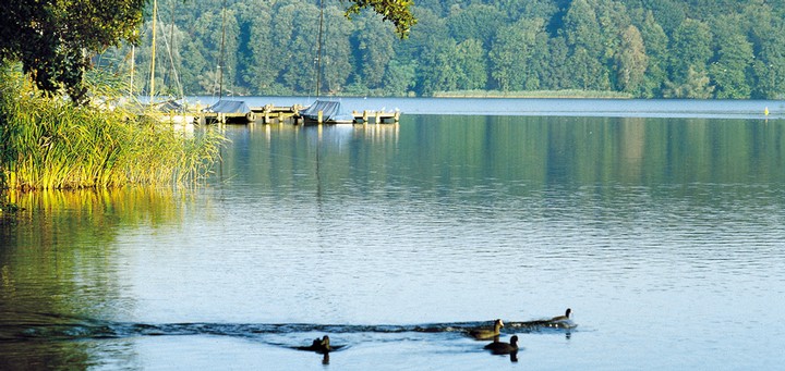 See mit Ente