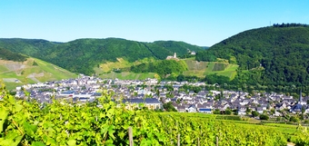 Mosel-Zauber