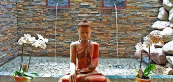 Jung & Gesund mit Ayurveda