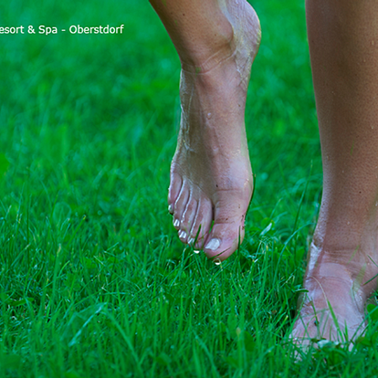 Kneipp cure »