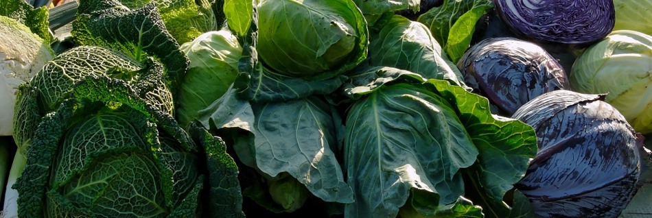 Mit Kohlgemüse den Detox-Einstieg meistern