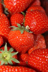 Frische, sonnengereifte Erdbeeren sind besonders lecker