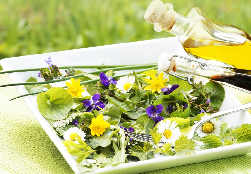 Kreativ Würzen und etwas für die Gesundheit tun mit Frühlingskräutern.
