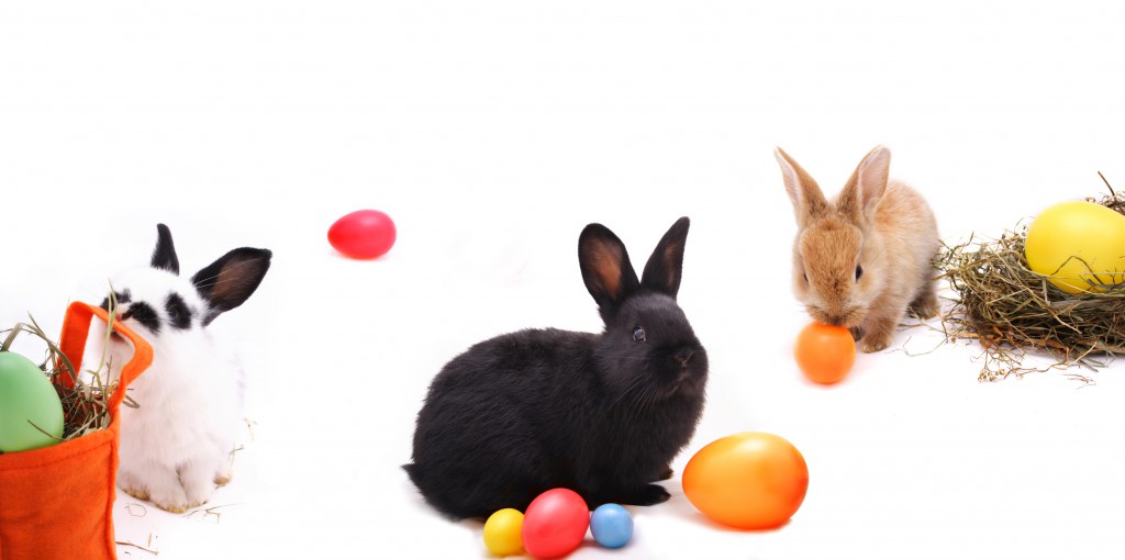 Keine Angst vor den Eiern des Osterhasen ©Sandra Brunsch/fotolia