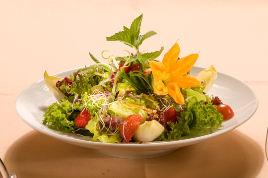 Frühlingssalat im Freund - das Hotel und Spa-Resort
