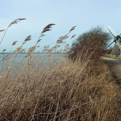 Schleswig-Holstein »
