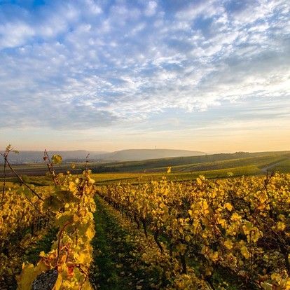 Wellness at Nahe region »