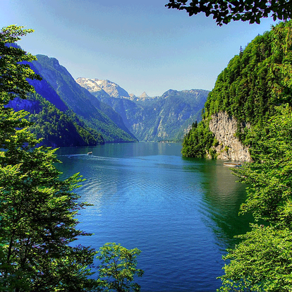 Bavarian Forest »