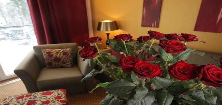 Waldhotel Tannenhäuschen am Niederrhein - Rosen