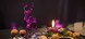 Freund - Das Hotel und Spa-Resort - Gemütliche Winterzeit im FREUND