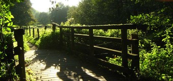 Natur pur