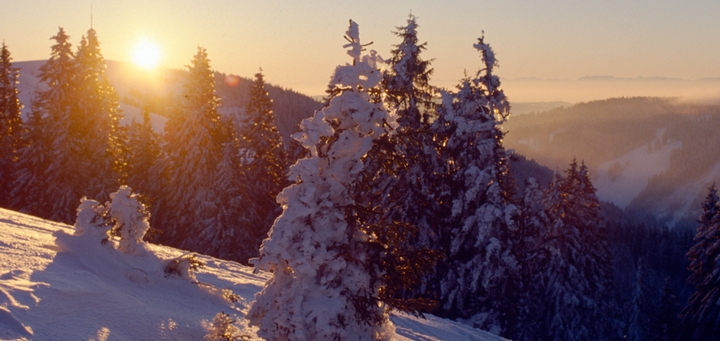 Winter-Wellness erleben - zu den Angeboten >>