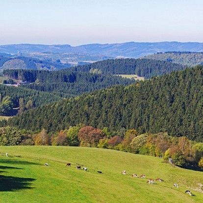 Wellnesshotels Sauerland »