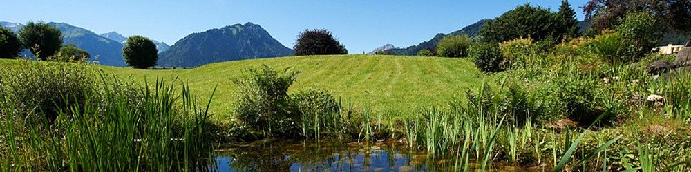 Schüle's Gesundheitsresort & Spa - Grüne Alpen