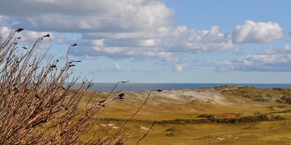 Sanddorn Traum