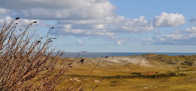 Spa & Resorthotel Georgshöhe - Dünen