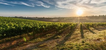 Verde Vita - Tannenhäuschens italienischer Freitag