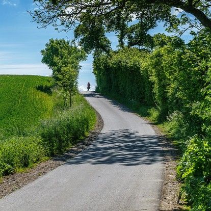Wellness at Holstein Schweiz »