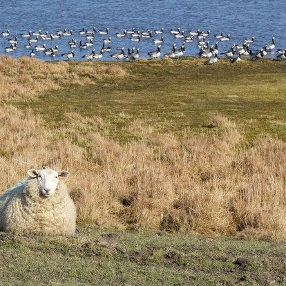 Wellness break at North Sea »