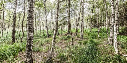 Coaching-Reise: Aktuelle Lebensthemen klären