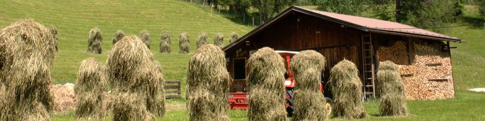Krumers Post Hotel und Spa - haystacks