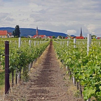 Rhineland-Palatinate »