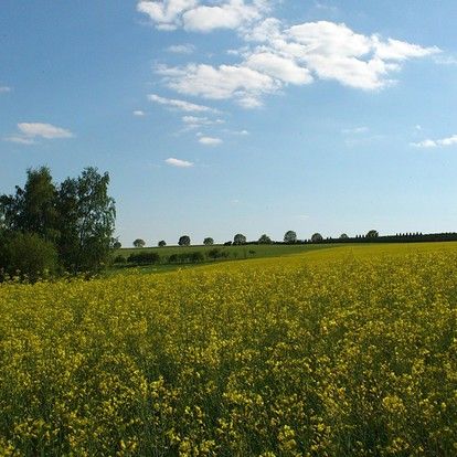 Wellnesshotels Westerwald »