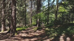 Wellness im Bayerischen Wald | Bayern | Sport- und Ferienhotel Riedlberg Wandern im Bayerischen Wald | Sport- und Ferienhotel Riedlberg