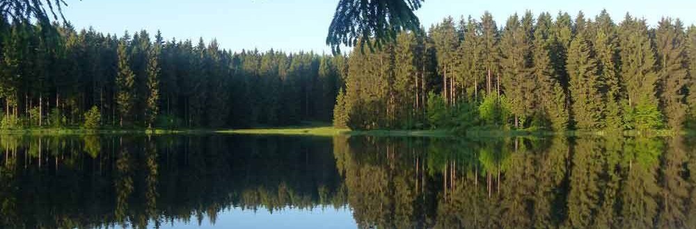 Wellnessurlaub in Sachsen-Anhalt Wellness, Entspannung und Ruhe am See