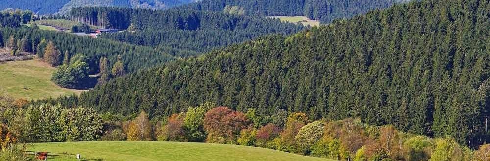 Regeneration mit einem Wellnesswochenende im Sauerland Kleine Pause mit dem Blick über das vorherbstliche Sauerland