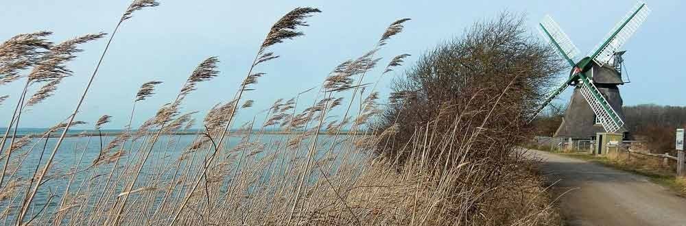 Beim Wellnesswochenende in Schleswig-Holstein entspannen Wellness & Entspannung in Schleswig-Holstein