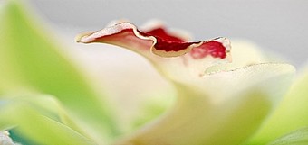 Wellness Weltreise